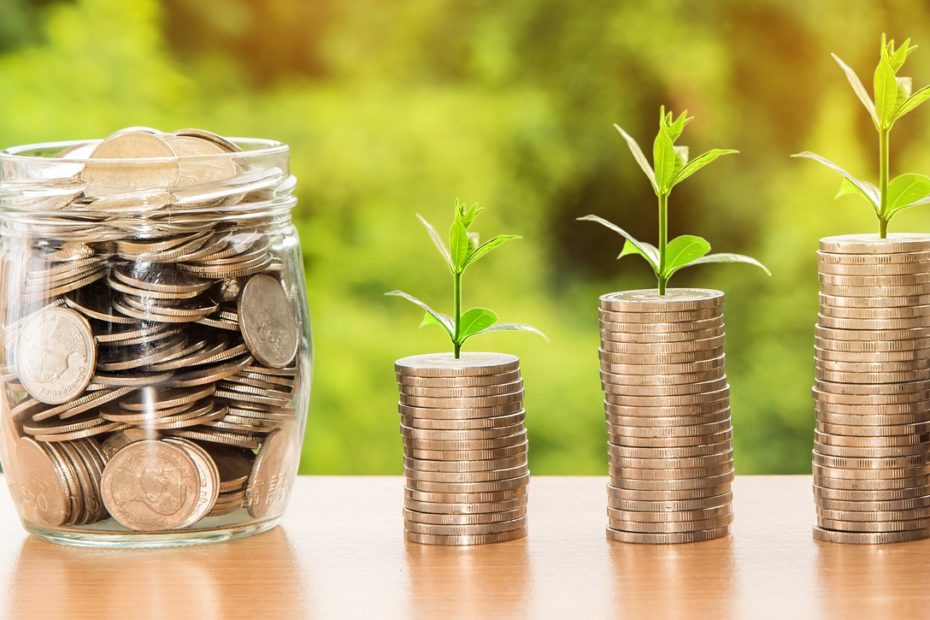 investing money grow as plant, coins in jar,